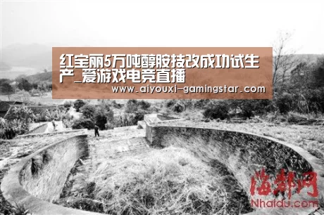 红宝丽5万吨醇胺技改成功试生产_爱游戏电竞直播(图1) 爱游戏电竞竞猜